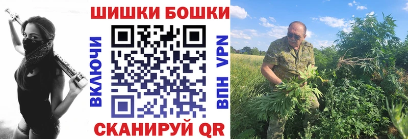Купить где  Домодедово  Бошки Шишки гибрид 